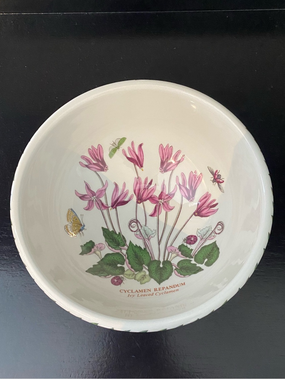 Portmeirion The Botanic Garden 1972 Ivy Leaved Cyclamen Garden Bowl